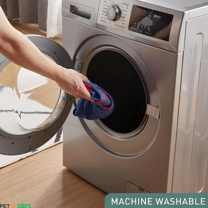 Pet Recovery Suit After Surgery