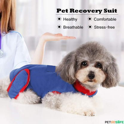 Pet Recovery Suit After Surgery