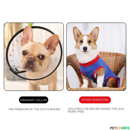Pet Recovery Suit After Surgery