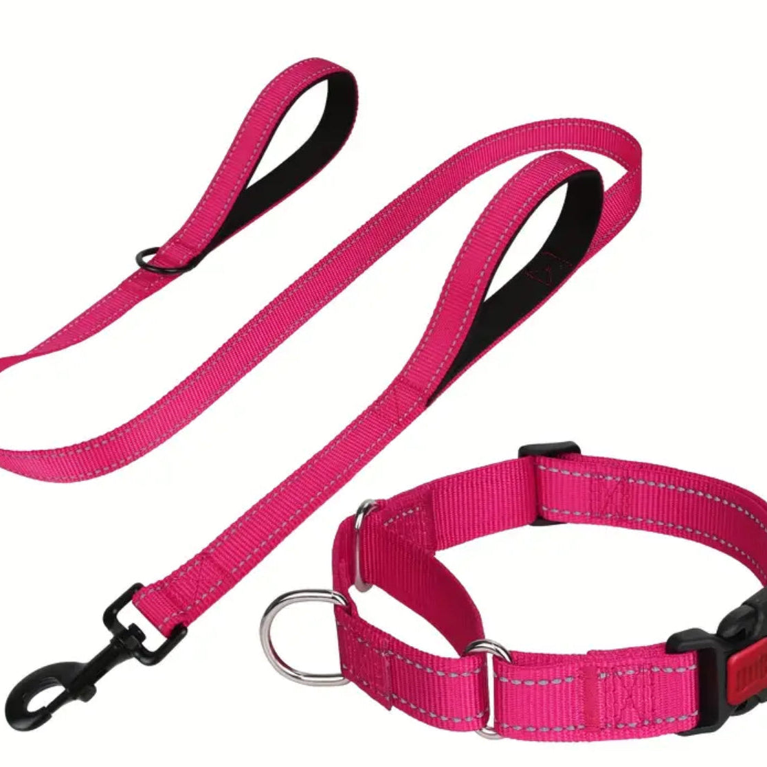 Reflective Nylon Martingale Collar & Leash Set – Pink