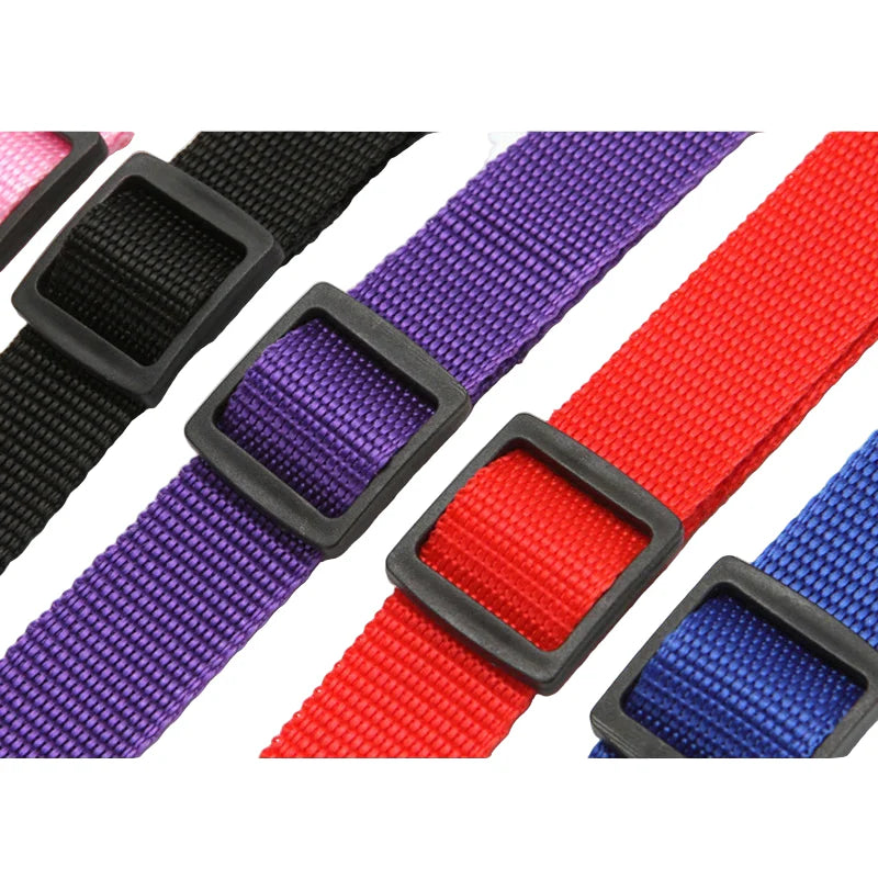 Vehicle Belt & Adjustable Nylon Leash for Dogs (7 colors available)