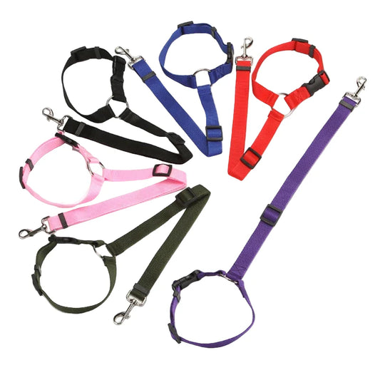 Vehicle Belt & Adjustable Nylon Leash for Dogs (7 colors available)