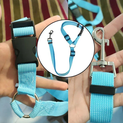Vehicle Belt & Adjustable Nylon Leash for Dogs (7 colors available)