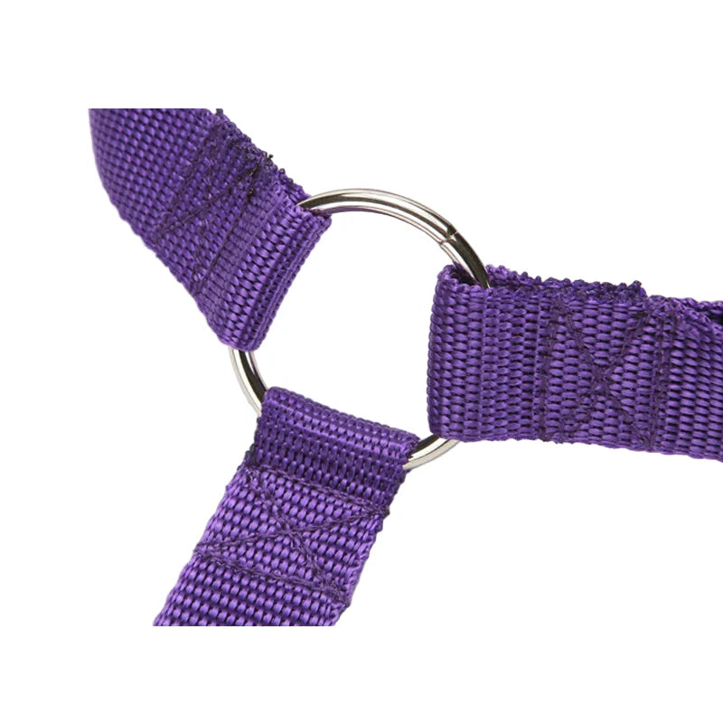 Vehicle Belt & Adjustable Nylon Leash for Dogs (7 colors available)