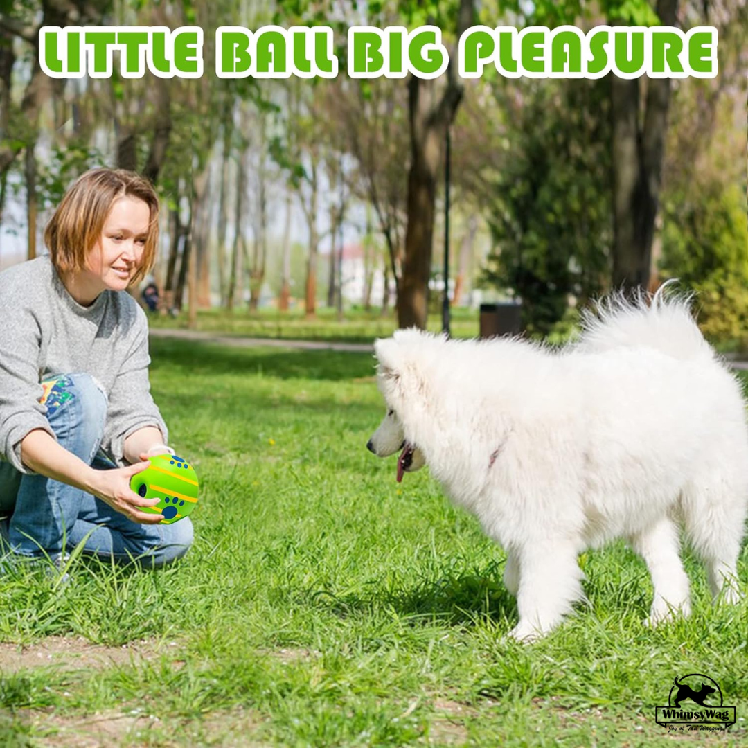 Interactive Dog Toy