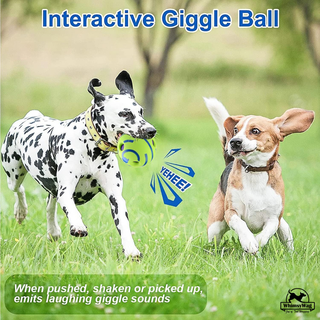 Interactive Dog Toy