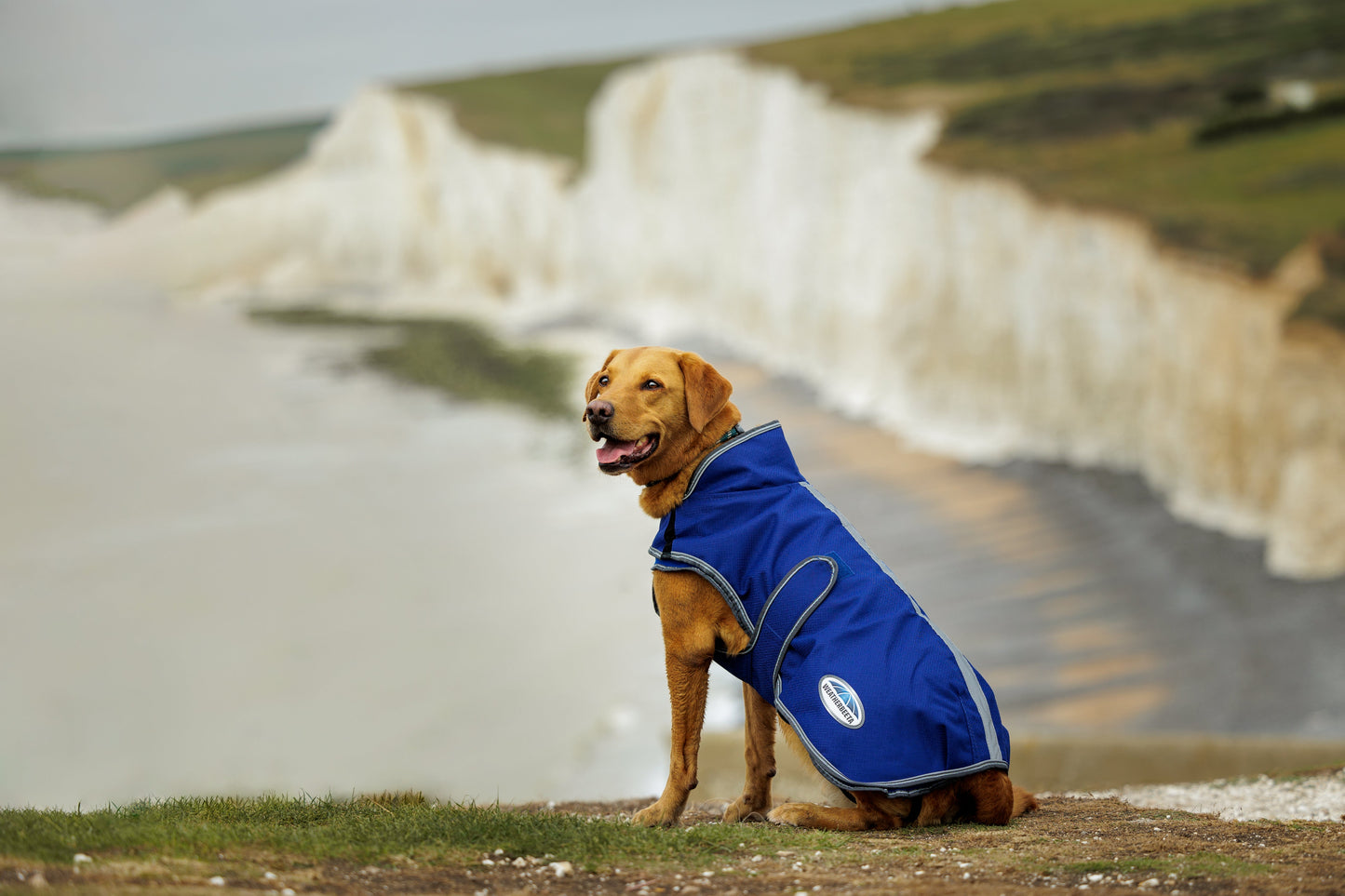 WeatherBeeta ComFiTec Premier Free Duo Deluxe Parka Dog Coat