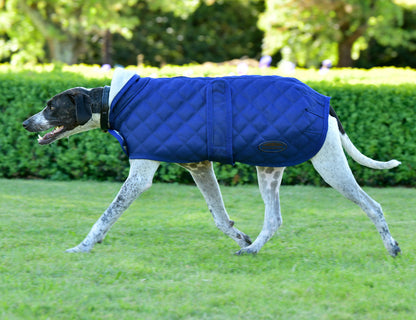 WeatherBeeta ComFiTec Deluxe Diamond Quilt Dog Coat