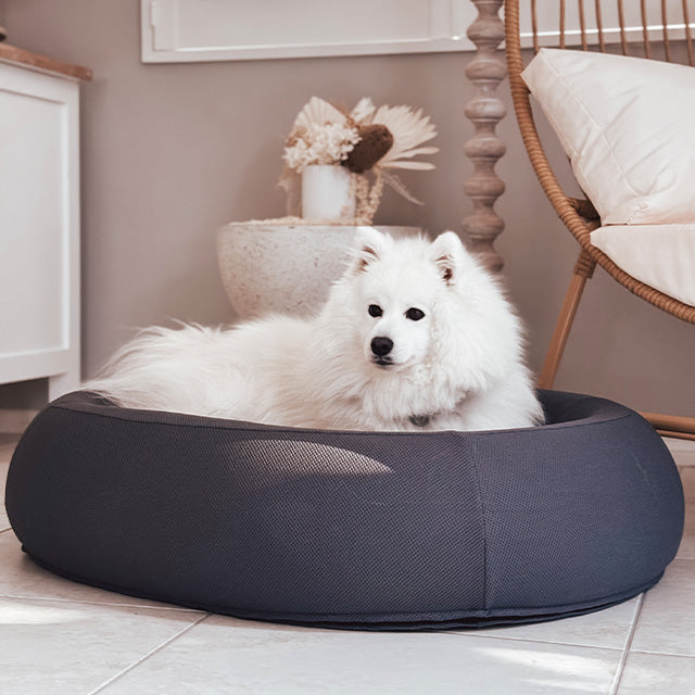 Brooklyn® Nest Dog Bed