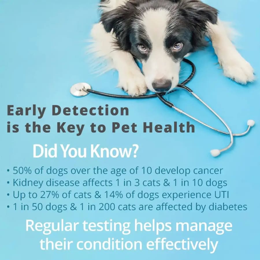 Pet Health Urine Test Strips